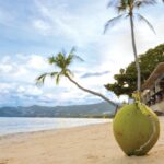 Through the Eyes of the First Coconut: The Untold Story of Koh Samui