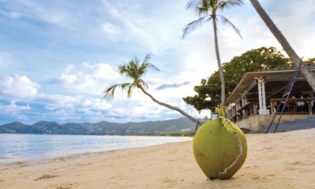 Through the Eyes of the First Coconut: The Untold Story of Koh Samui