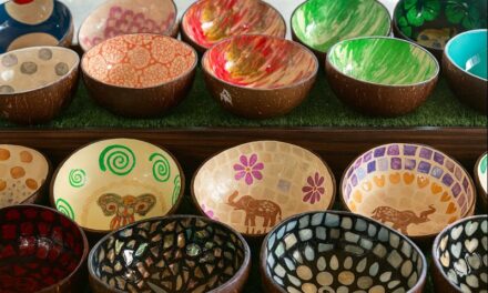 Coconut Bowls with Enamel