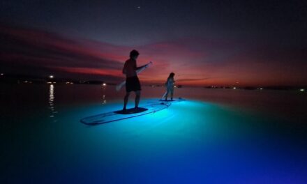 Samui Paddle Sports – LED Night Tours