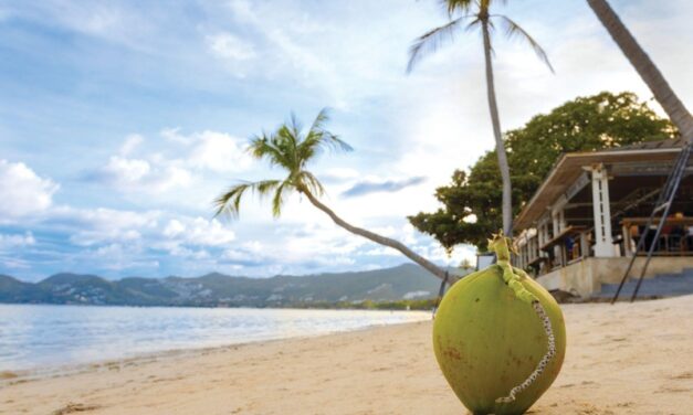 Through the Eyes of the First Coconut: The Untold Story of Koh Samui