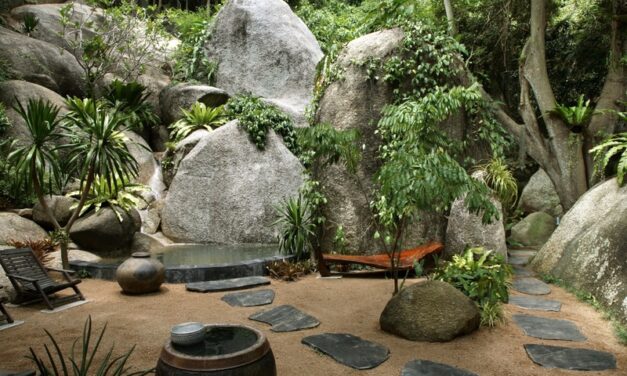 Forest Calm at Tamarind Springs