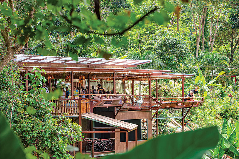 CANOPY TO WATERFALLL