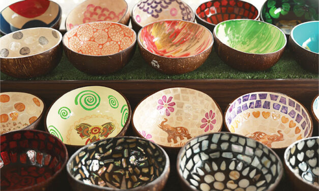 Coconut bowls with Enamel