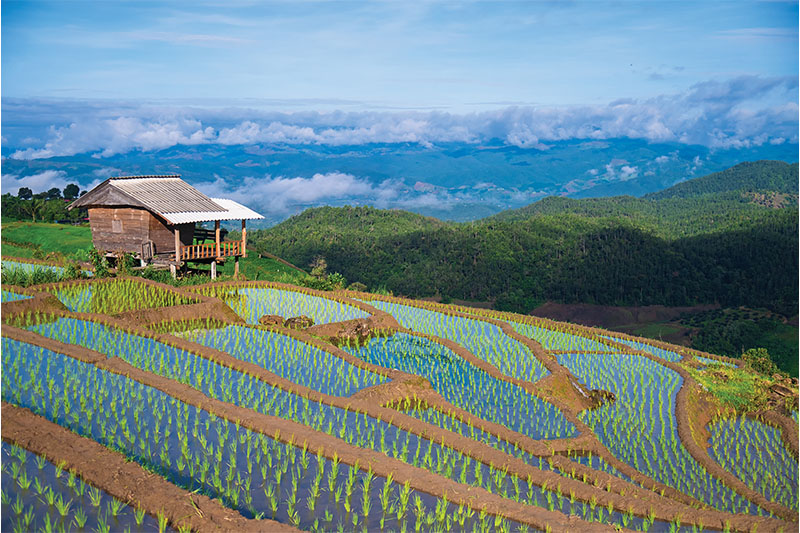 A farmer’s home overlooks a landscape of terraced rice fields.
