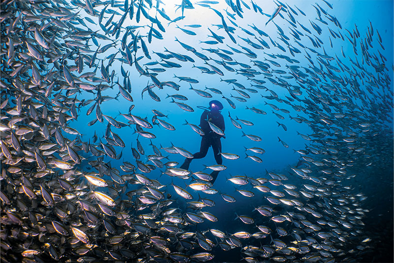Koh Tao & Koh Nang Yuan