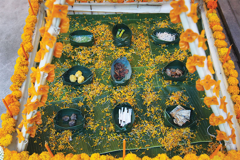 A farmer’s home overlooks a landscape of terraced rice fields.
