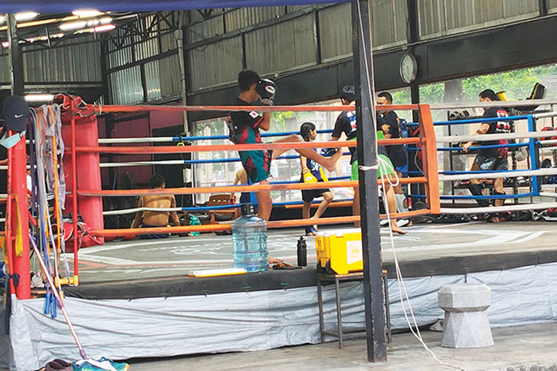 Boxers of all ages and genders have taken an interest in the sport