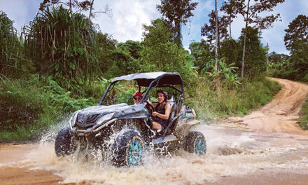 X Quad Samui ATV & Buggy Tours
