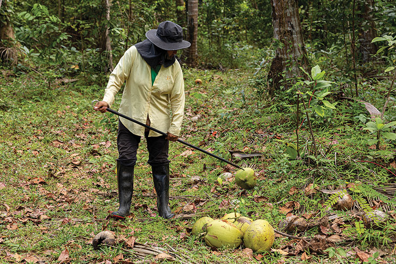 Partygoers dance from dusk until dawn.<br />
