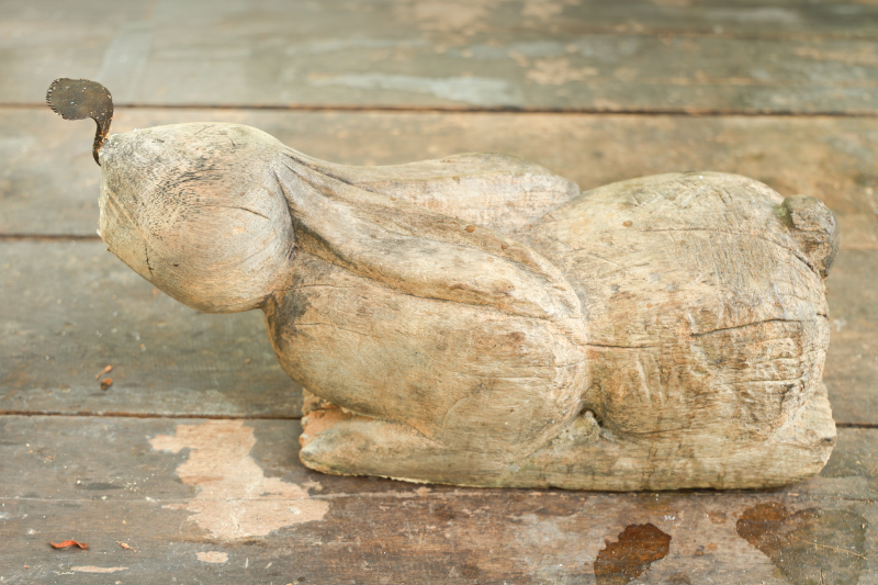 Rabbit | OurSamui