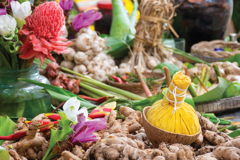 Samui herb | OurSamui.com