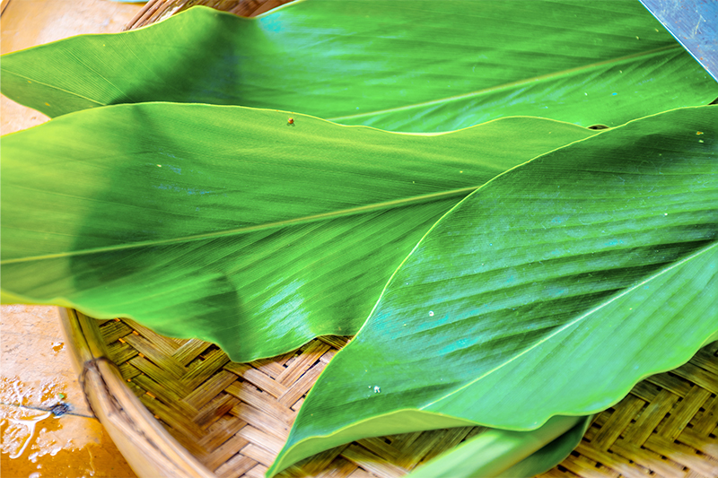 WAN SAO LONG | OurSamui