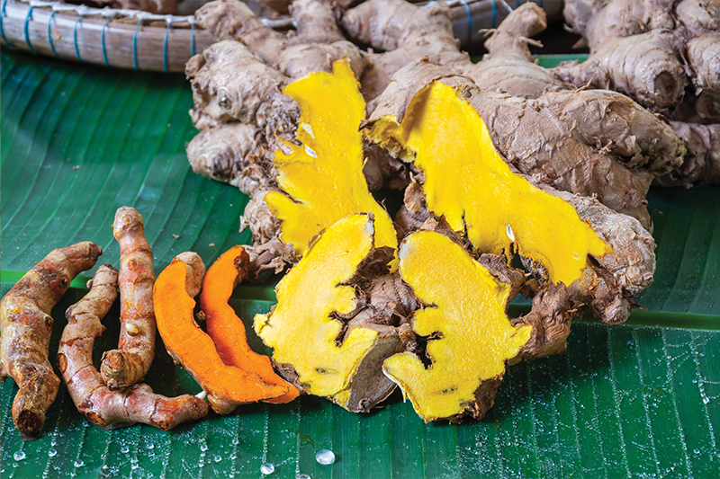 TURMERIC - KAMIN CHAN | OurSamui