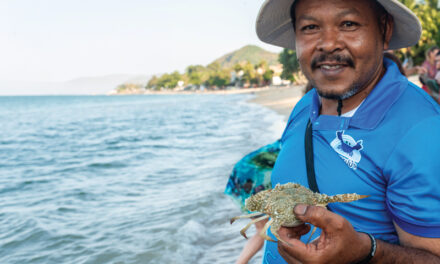 The Crab Keepers