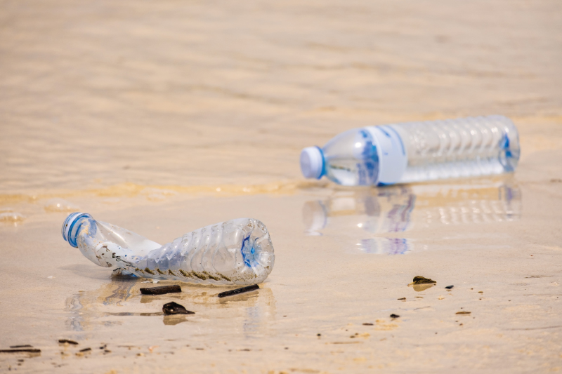 Earth Day, Koh Samui (Ko Samui) | OurSamui
