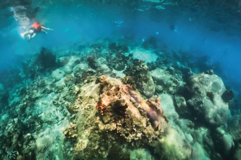 MARINE & WELLNESS SEASON<br />
ON SAMUI, Koh Samui (Ko Samui) | OurSamui
