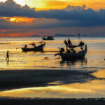 WHAT THE SEA GIVES