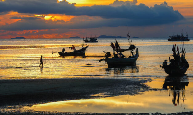 WHAT THE SEA GIVES