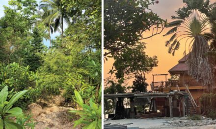 Jungle Ruins on Koh Tao