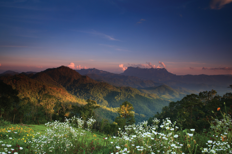 INTERNATIONAL MOUNTAIN DAY