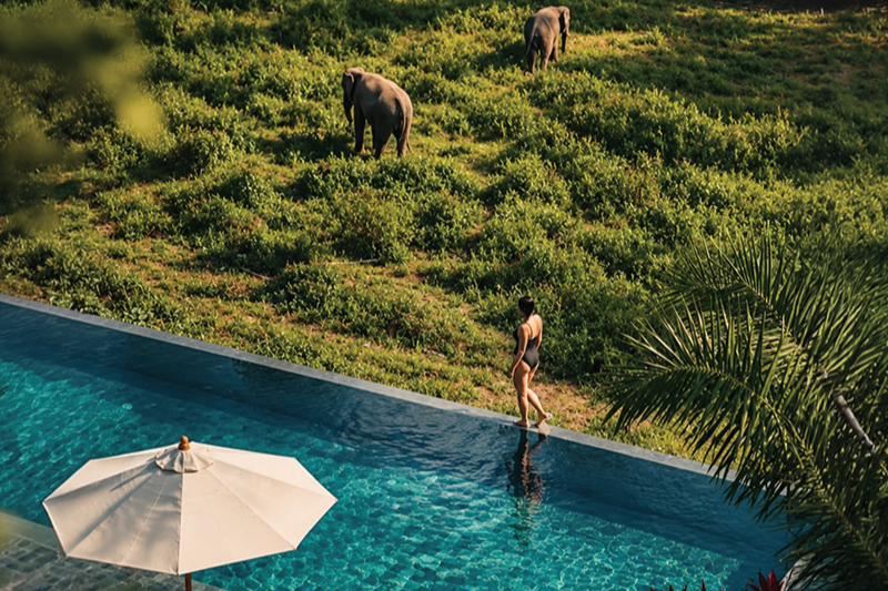 WILD COTTAGES ELEPHANT SANCTUARY RESORT SAMUI, KOH SAMUI (KO SAMUI) HOTEL RESORT | OURSAMUI