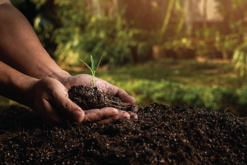 WORLD SOIL DAY