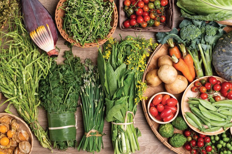 WORLD VEGAN DAY