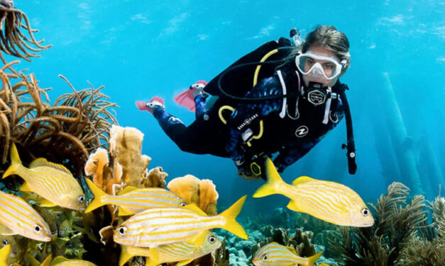 Silent Divers UNDERWATER JOURNEYS  